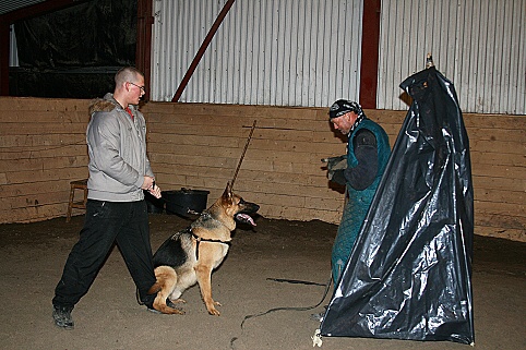 Training in Estonia 3/2007